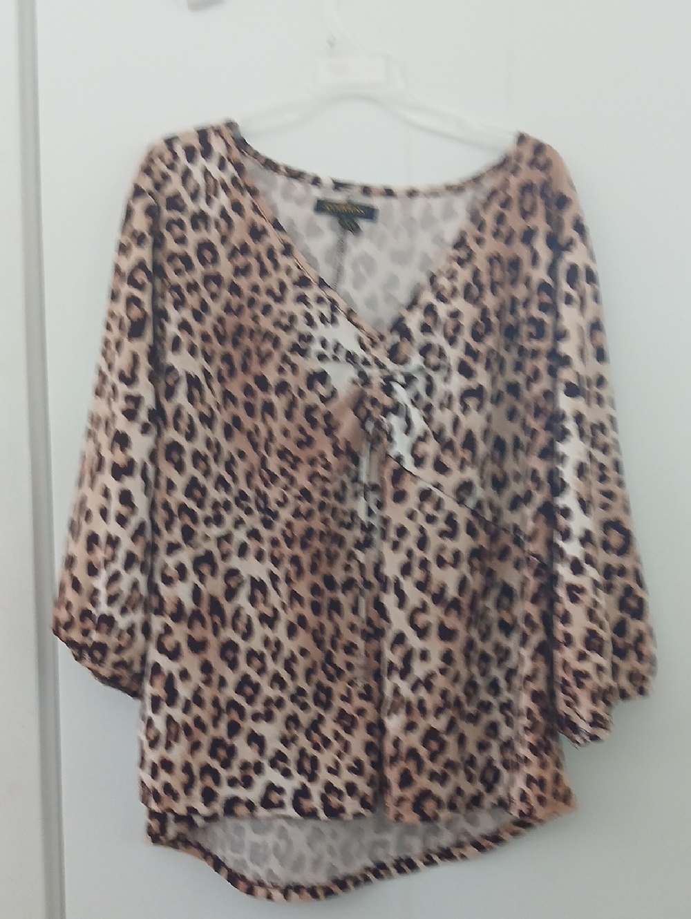 Goddess Leopard Print V-Neck Top - Brown and Black